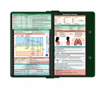 WhiteCoat Clipboard® - Green Respiratory Edition